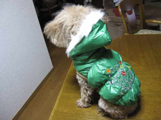 c0122744_10415689.jpg