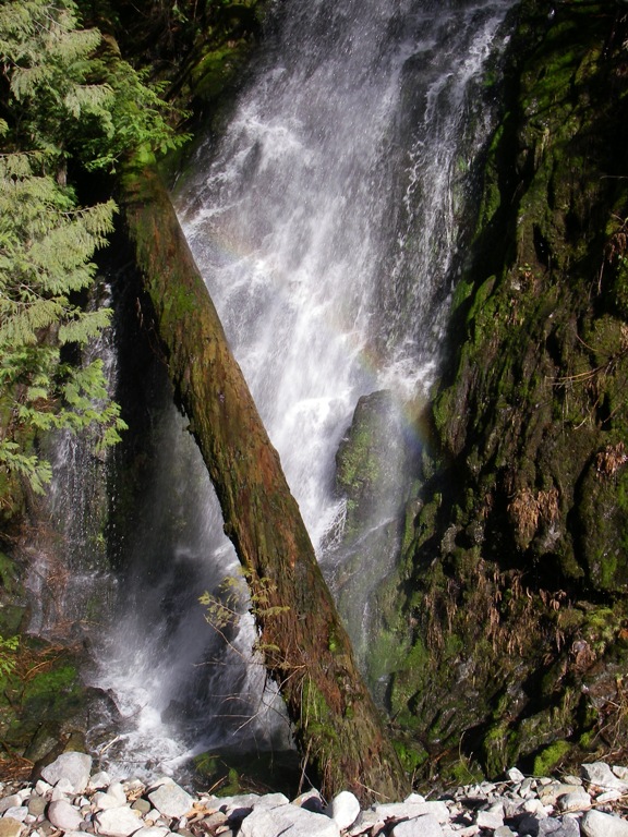 f0084544_491778.jpg