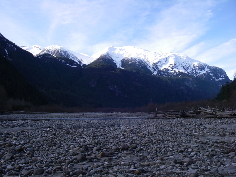 f0084544_494030.jpg