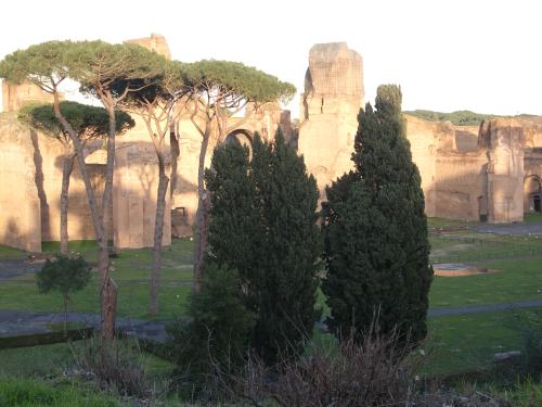 c0206352_732494.jpg