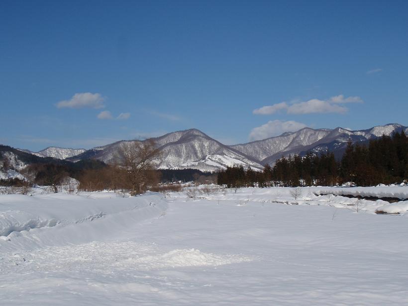 b0177355_21461181.jpg