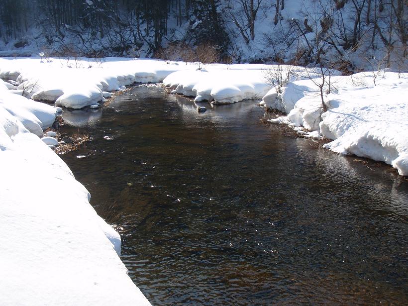 b0177355_21512741.jpg