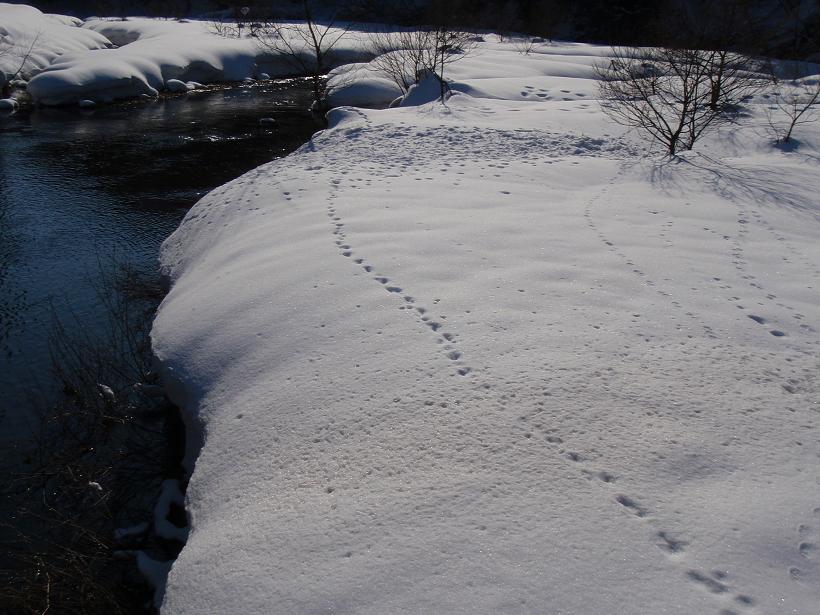 b0177355_223260.jpg