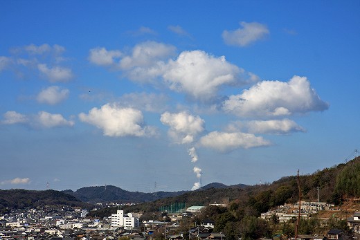 e0190885_1958865.jpg