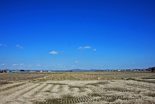 e0190885_202987.jpg