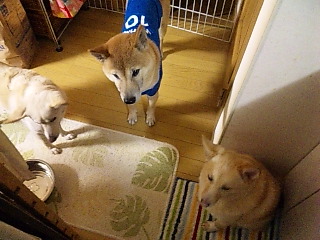 c0123890_2231133.jpg