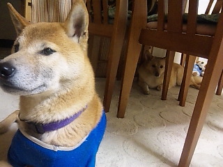 c0123890_22312997.jpg