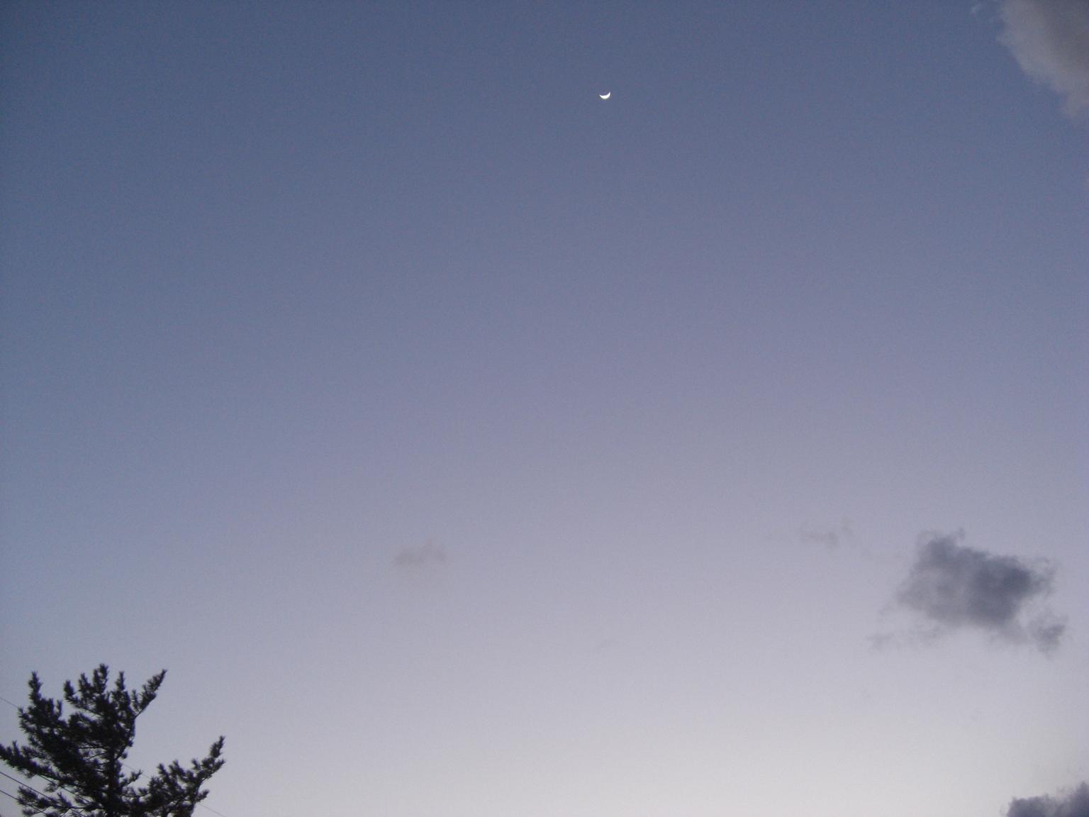 f0131491_1823042.jpg