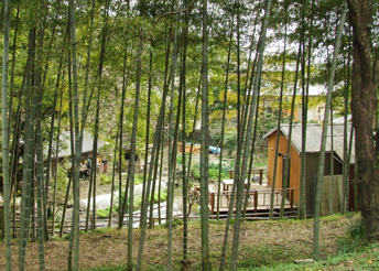 f0132391_16382528.jpg