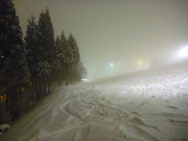 a0043193_23124374.jpg