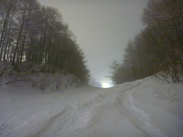 a0043193_23125783.jpg