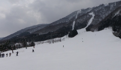 a0138198_1573440.jpg