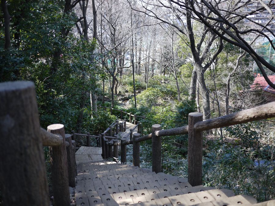 c0187503_20335337.jpg