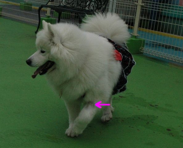 e0018604_17103058.jpg