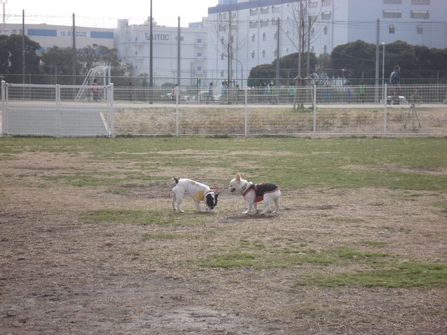 f0084806_6132948.jpg