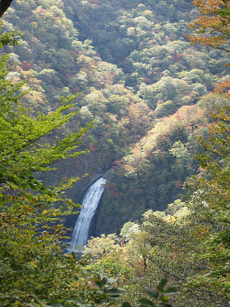 f0180607_052483.jpg