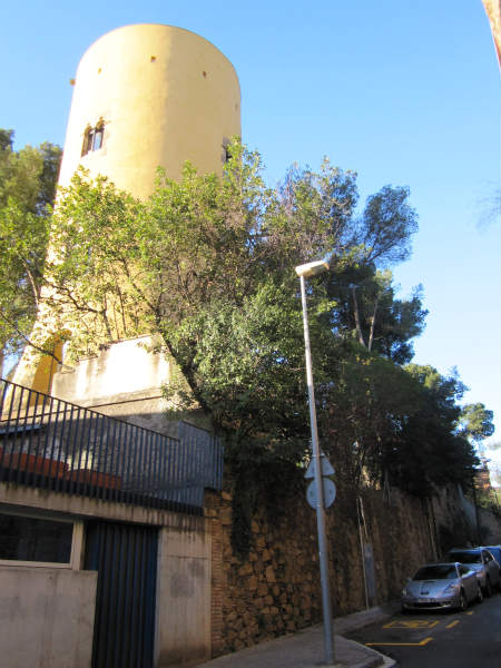 b0064411_19353652.jpg
