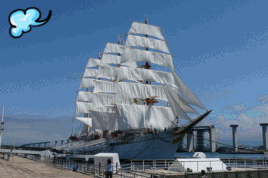 a0026413_15152582.gif