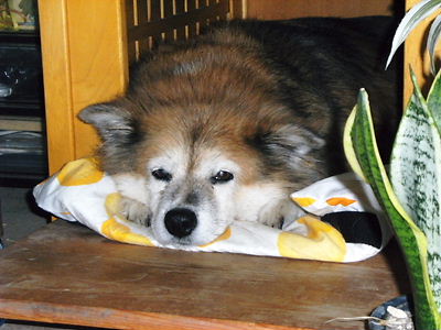 c0029913_210221.jpg