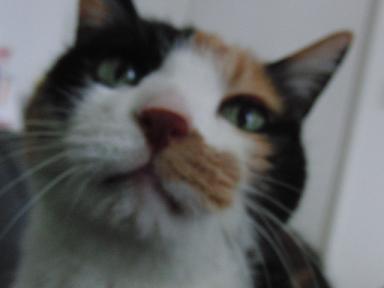 c0201113_18562339.jpg