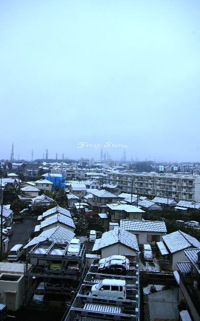 d0006718_7503942.jpg