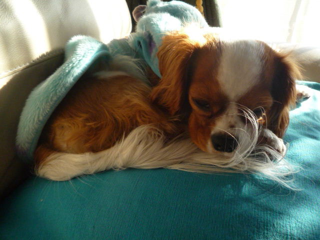 f0214121_133031.jpg
