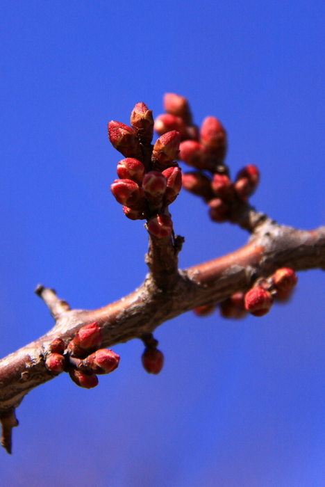 b0165522_217636.jpg