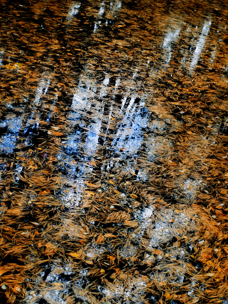 c0089123_20573132.jpg