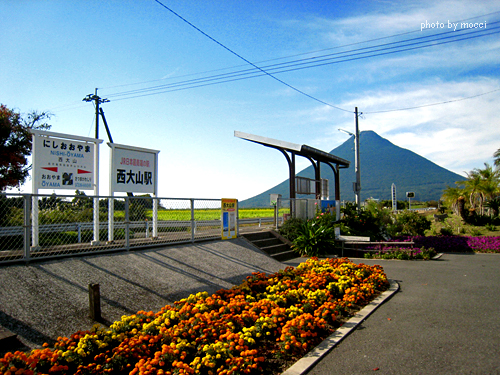 d0131523_2361459.jpg