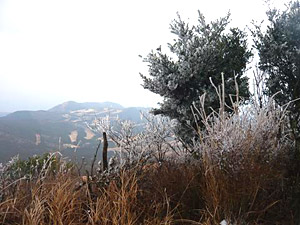 d0023725_21244776.jpg