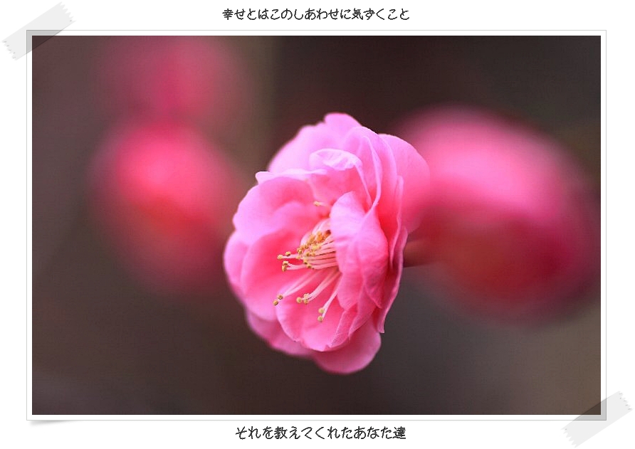 b0180042_23295839.jpg