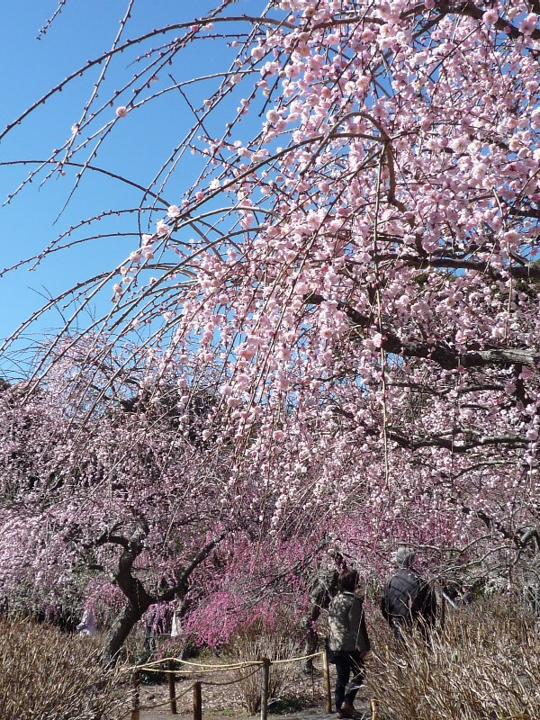 f0091250_18401097.jpg