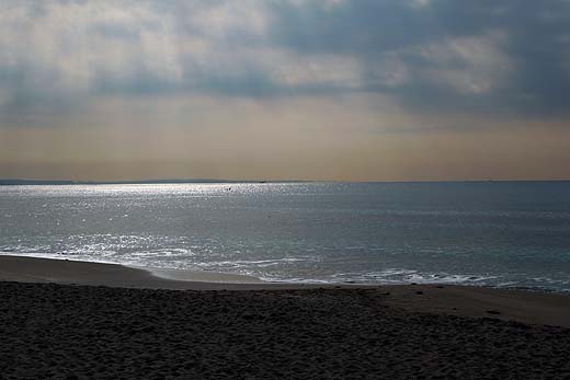 e0050753_111611.jpg