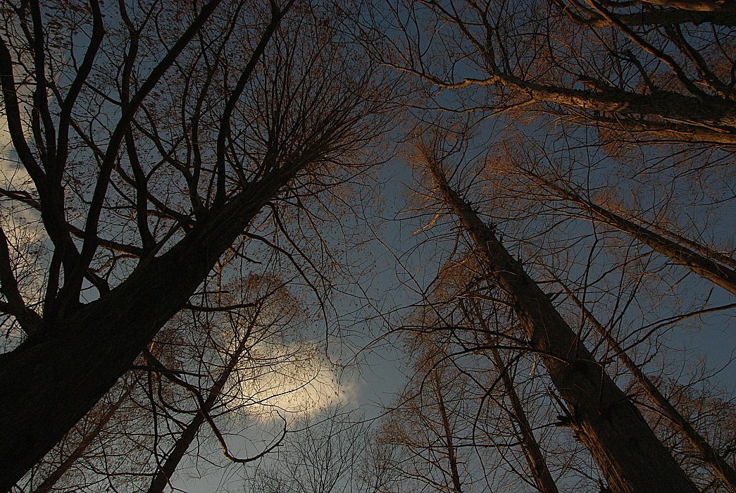 f0207754_21295933.jpg