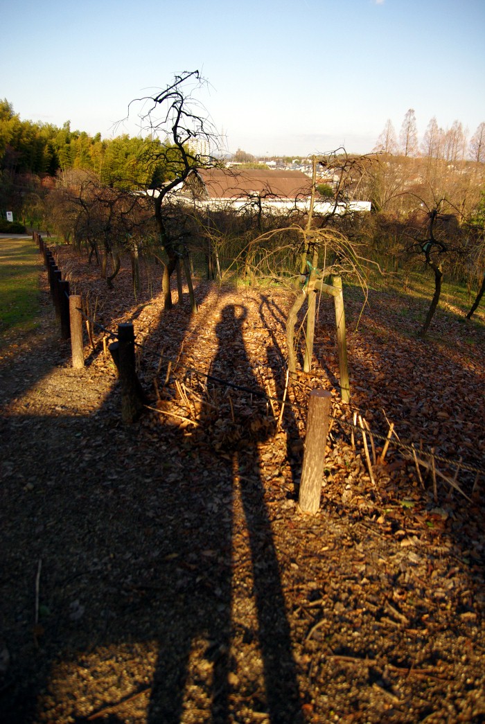 f0207754_21341492.jpg