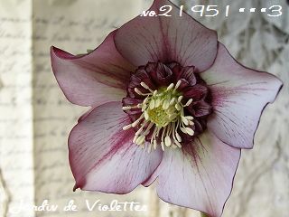 e0118257_16264371.jpg
