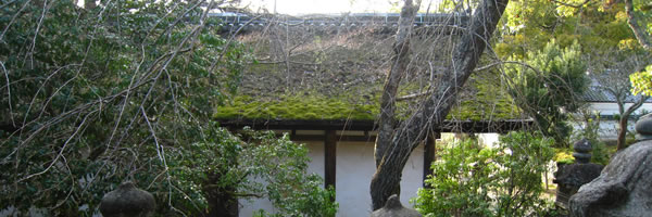 c0062361_22453423.jpg