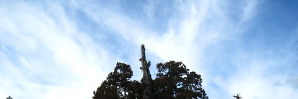 c0062361_22454972.jpg