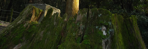 c0062361_224632.jpg