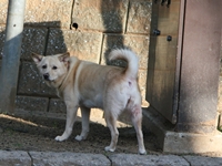 d0054461_21451395.jpg