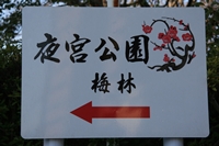 d0054461_21534624.jpg