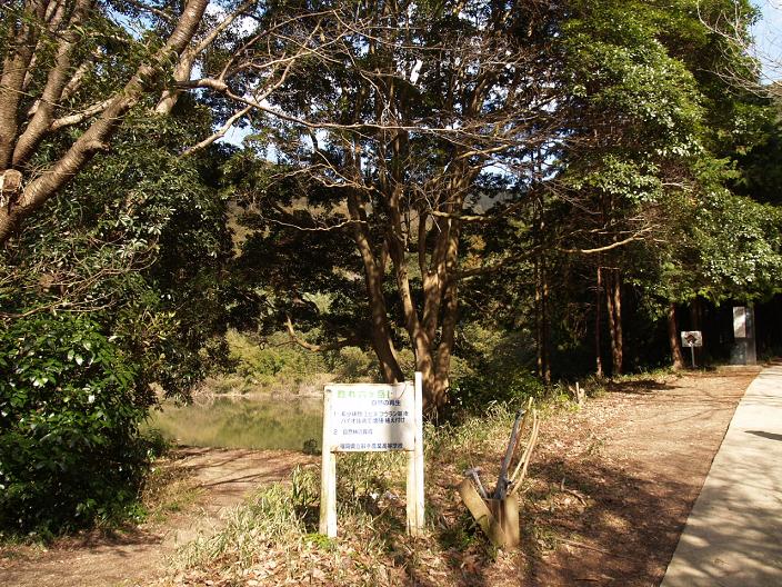 f0016066_21431441.jpg
