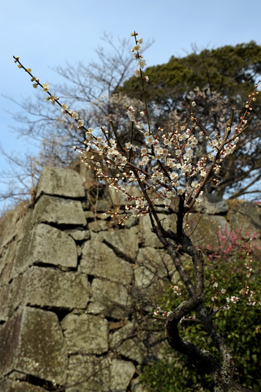 b0131167_22395816.jpg