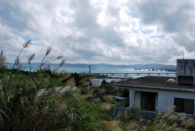 b0174068_23434567.jpg