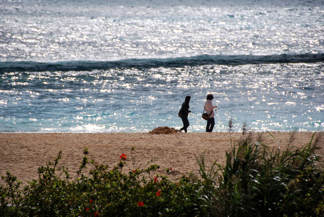 b0174068_2343654.jpg