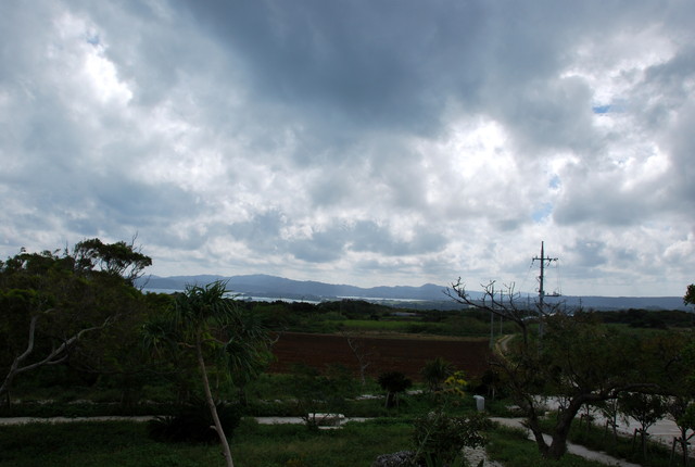 b0174068_2346761.jpg