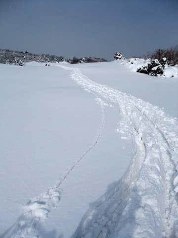 e0045768_22384417.jpg