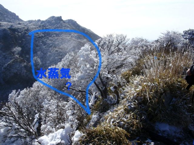 c0042869_14562240.jpg