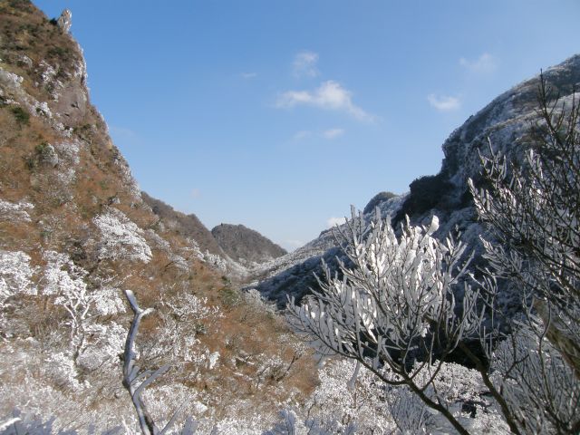 c0042869_15185522.jpg