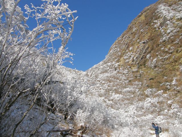 c0042869_19382314.jpg